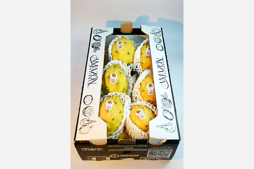 PitahaAmarillaEmAD2