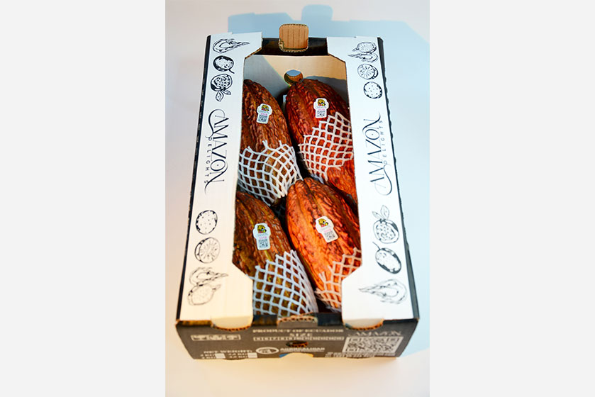 cacaoEmAD2