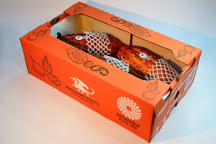 cacaoEmEA1