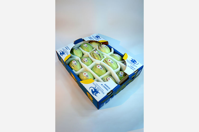 pepinoDulceEmEA1