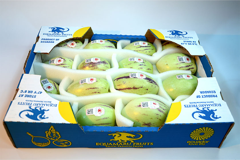 pepinoDulceEmEA3